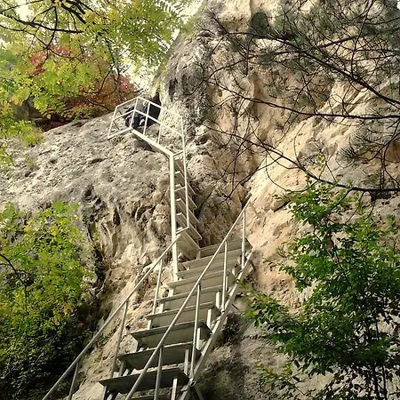 Osmarski Penzion Osmar (Shumen)
